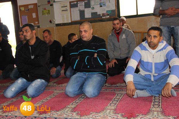 jarhoshuy msajed 0110 (62).JPG